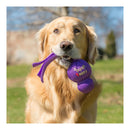 Kong Puppy Wubba Toy
