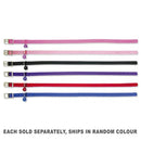 Coloured All Stretch Collar (1pc Random)