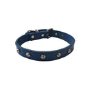 Halsband mit Leder besorgt (blau)