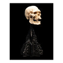 The Lord of the Rings Skull of a Mordor Orc Miniature
