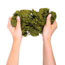 Eco-Friendly Squishy Foam Toy (1pc Random)