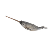 CollectA Narwhal Figure (Extra Large)