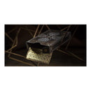 theory11 National Playing Cards
