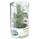 Papo mini plus dinosaur figurer 6 stk