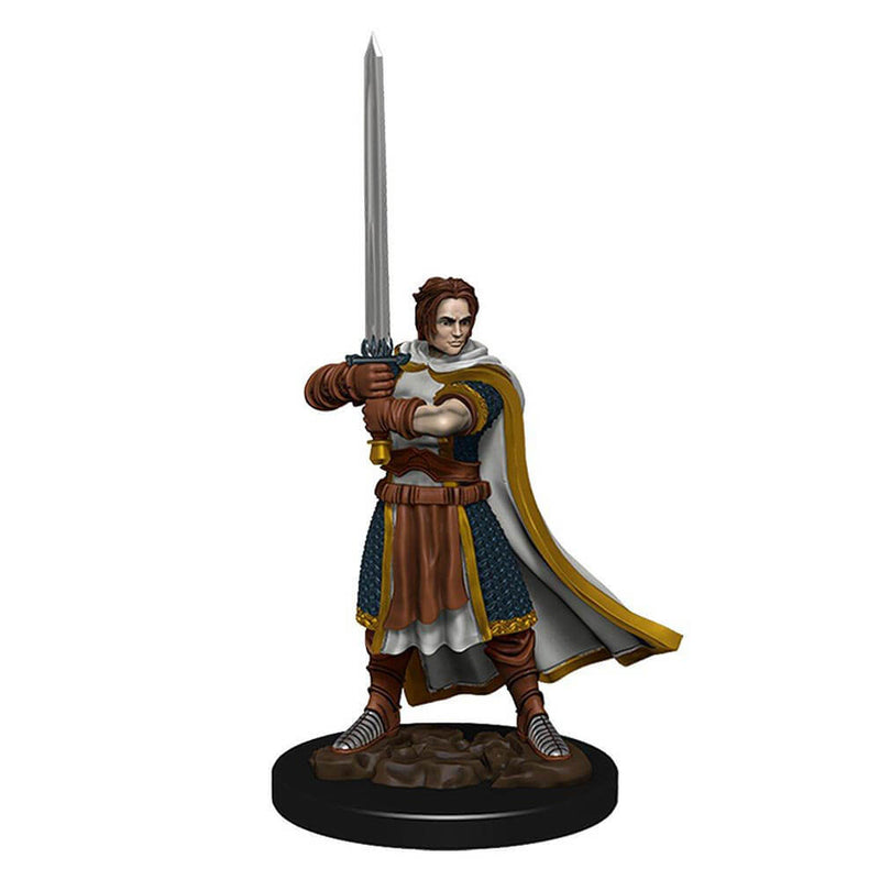 Dungeons & Dragons Premium Human Fighter Male Miniature