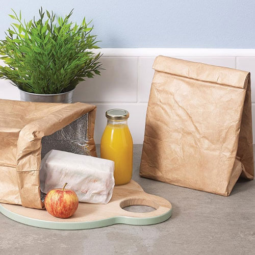 Brown Paper Bag Insulated Lunchbox