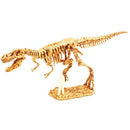 Discover Science T-Rex Excavation Kit